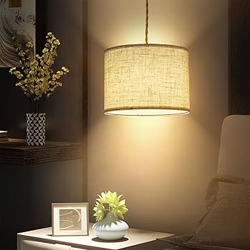 KUAUGST Plug in Pendant Light, Hanging Light with Plug in